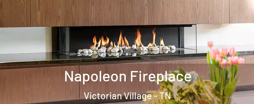 Napoleon Fireplace Victorian Village - TN