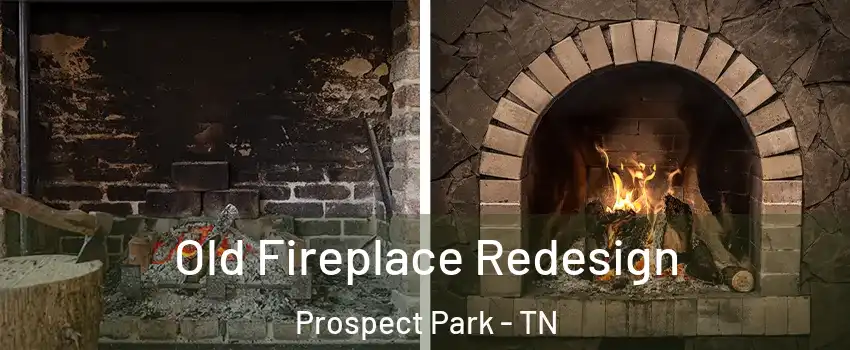 Old Fireplace Redesign Prospect Park - TN