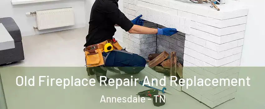 Old Fireplace Repair And Replacement Annesdale - TN