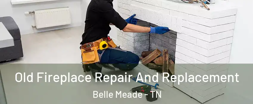 Old Fireplace Repair And Replacement Belle Meade - TN