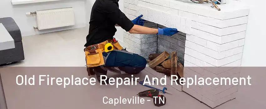 Old Fireplace Repair And Replacement Capleville - TN