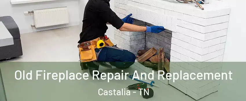 Old Fireplace Repair And Replacement Castalia - TN