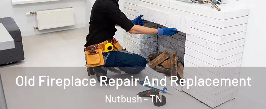 Old Fireplace Repair And Replacement Nutbush - TN