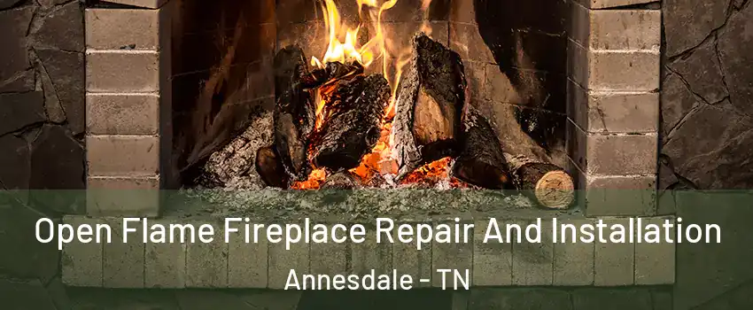 Open Flame Fireplace Repair And Installation Annesdale - TN