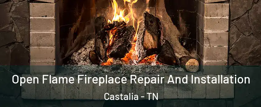 Open Flame Fireplace Repair And Installation Castalia - TN