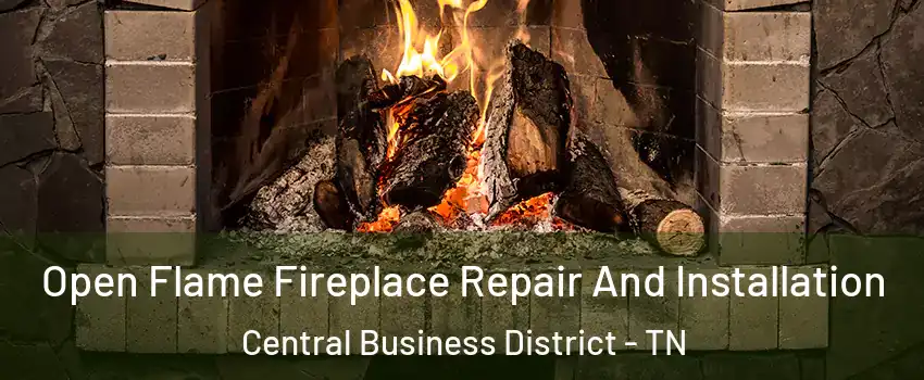 Open Flame Fireplace Repair And Installation Central Business District - TN