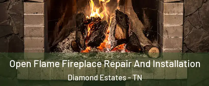 Open Flame Fireplace Repair And Installation Diamond Estates - TN