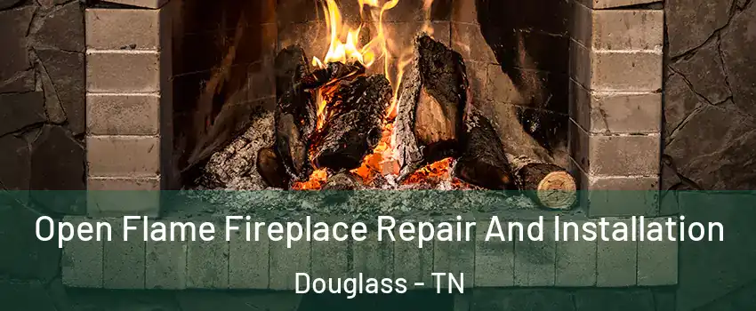 Open Flame Fireplace Repair And Installation Douglass - TN