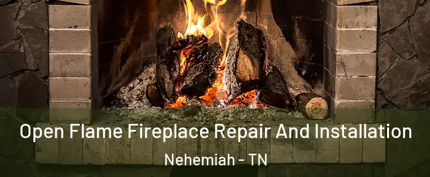 Open Flame Fireplace Repair And Installation Nehemiah - TN