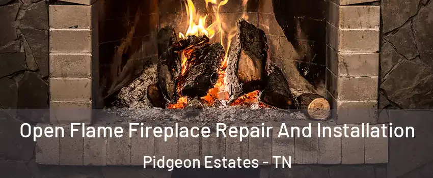 Open Flame Fireplace Repair And Installation Pidgeon Estates - TN