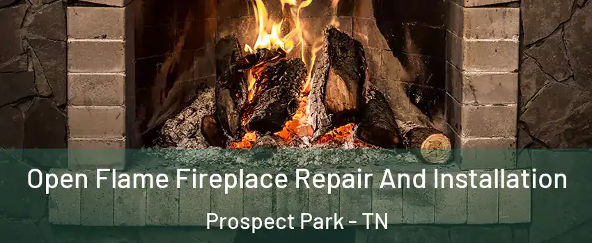 Open Flame Fireplace Repair And Installation Prospect Park - TN