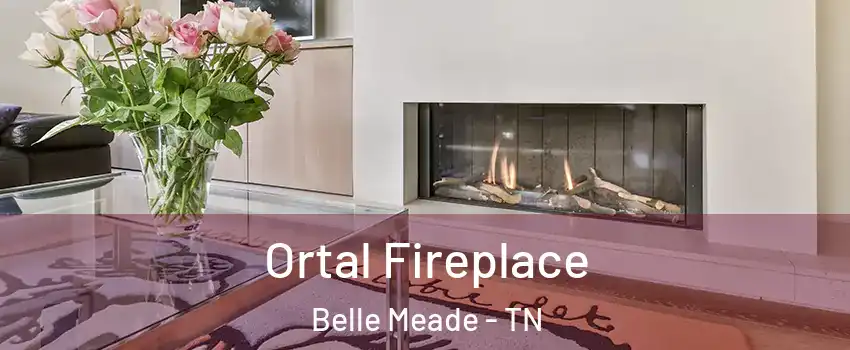 Ortal Fireplace Belle Meade - TN