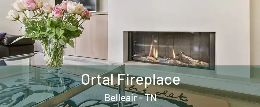 Ortal Fireplace Belleair - TN