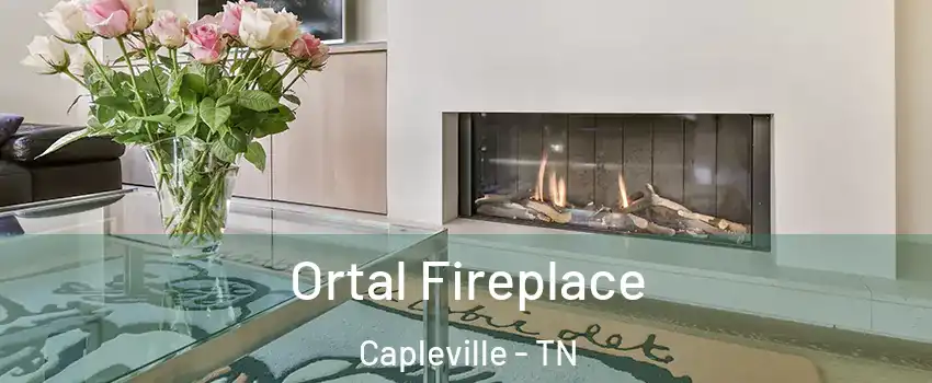 Ortal Fireplace Capleville - TN