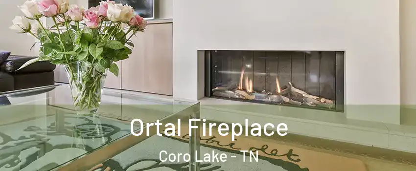 Ortal Fireplace Coro Lake - TN