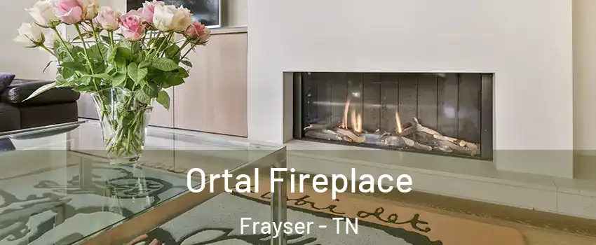 Ortal Fireplace Frayser - TN