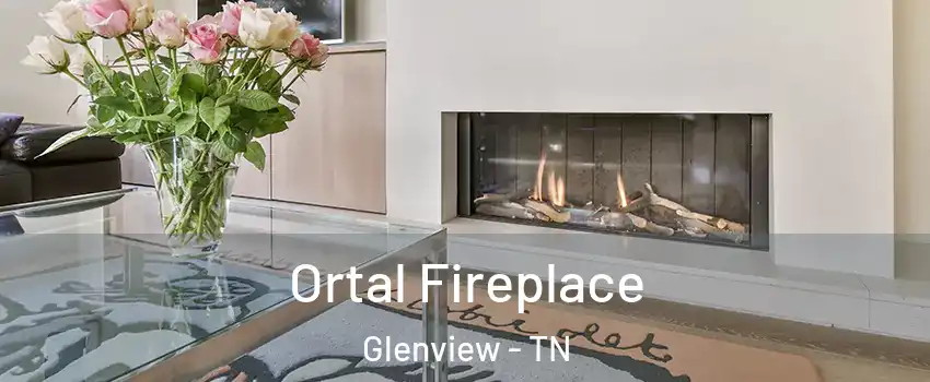 Ortal Fireplace Glenview - TN