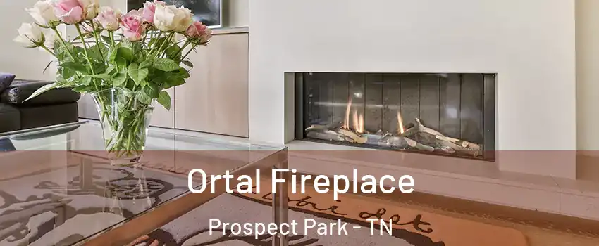 Ortal Fireplace Prospect Park - TN