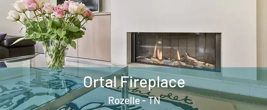 Ortal Fireplace Rozelle - TN