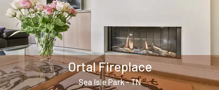 Ortal Fireplace Sea Isle Park - TN