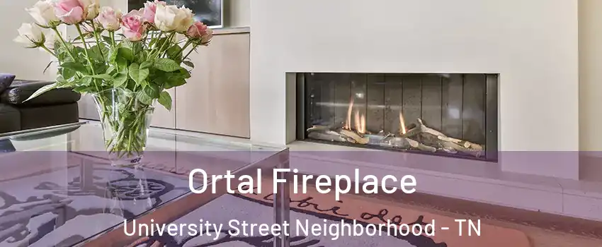 Ortal Fireplace University Street Neighborhood - TN