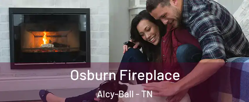 Osburn Fireplace Alcy-Ball - TN