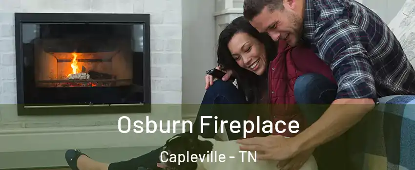 Osburn Fireplace Capleville - TN