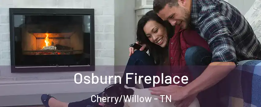 Osburn Fireplace Cherry/Willow - TN