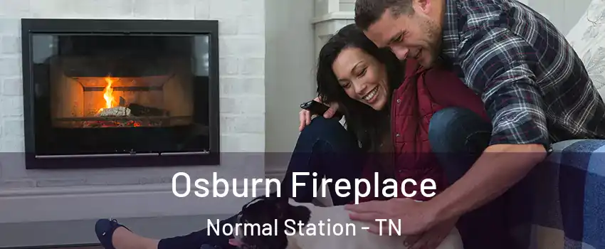 Osburn Fireplace Normal Station - TN