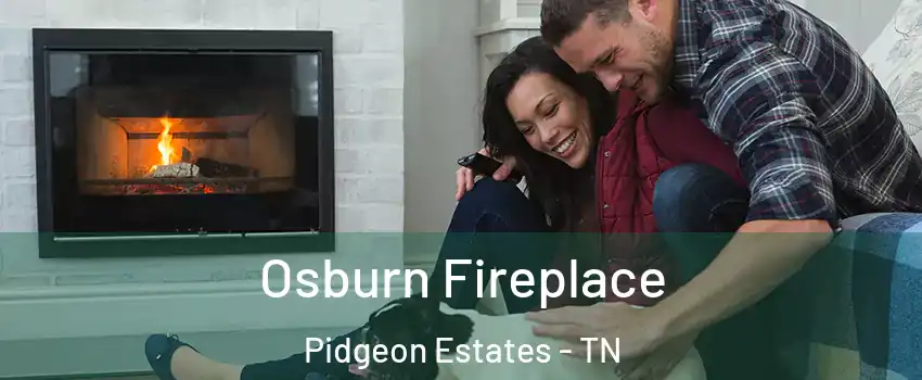 Osburn Fireplace Pidgeon Estates - TN