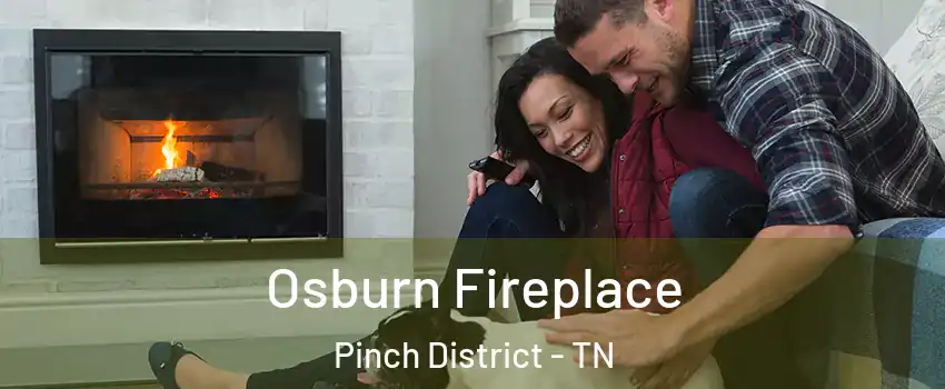 Osburn Fireplace Pinch District - TN