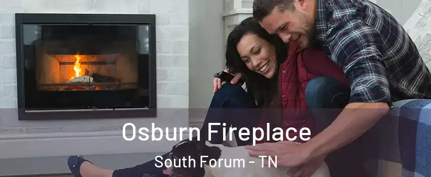 Osburn Fireplace South Forum - TN