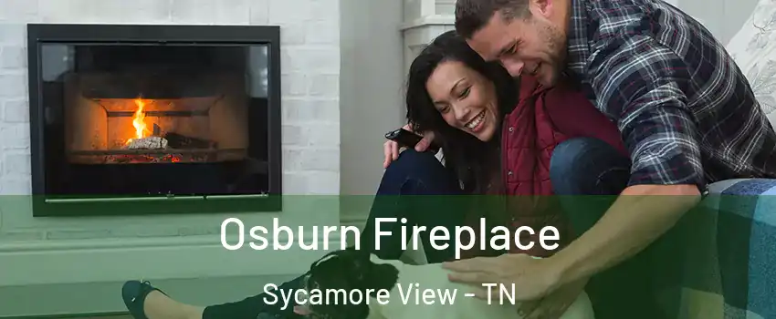 Osburn Fireplace Sycamore View - TN