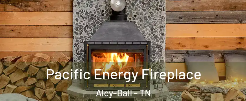 Pacific Energy Fireplace Alcy-Ball - TN