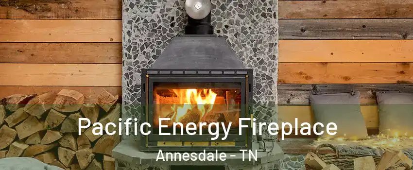 Pacific Energy Fireplace Annesdale - TN