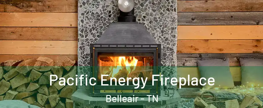 Pacific Energy Fireplace Belleair - TN