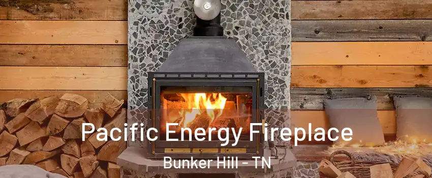 Pacific Energy Fireplace Bunker Hill - TN