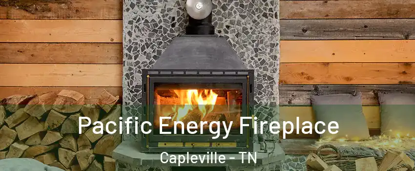 Pacific Energy Fireplace Capleville - TN