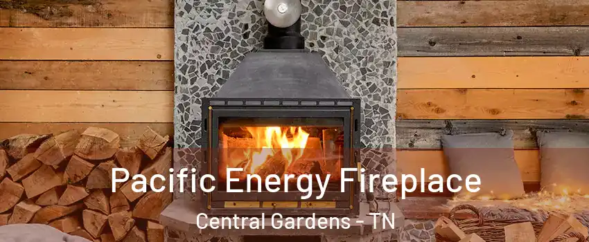 Pacific Energy Fireplace Central Gardens - TN