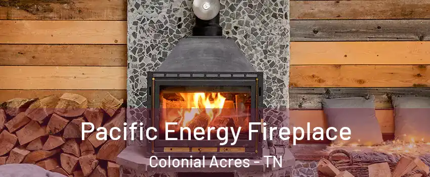 Pacific Energy Fireplace Colonial Acres - TN