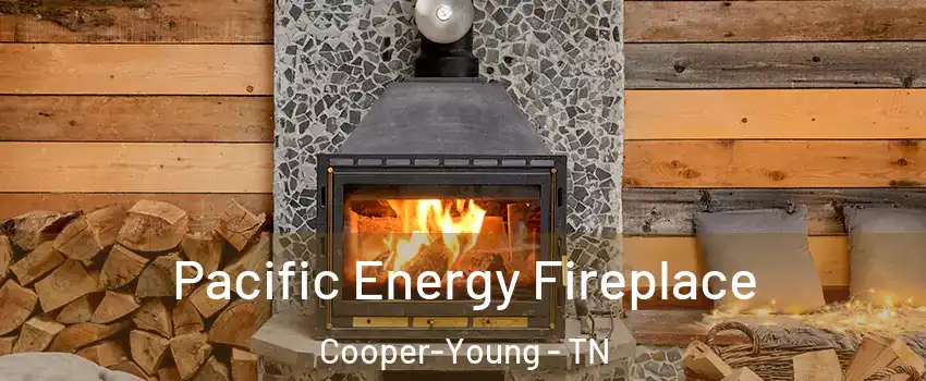 Pacific Energy Fireplace Cooper-Young - TN