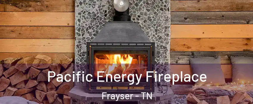 Pacific Energy Fireplace Frayser - TN