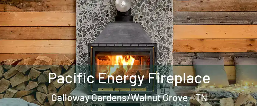 Pacific Energy Fireplace Galloway Gardens/Walnut Grove - TN