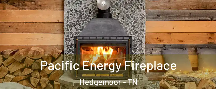 Pacific Energy Fireplace Hedgemoor - TN