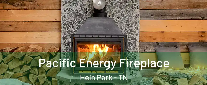 Pacific Energy Fireplace Hein Park - TN