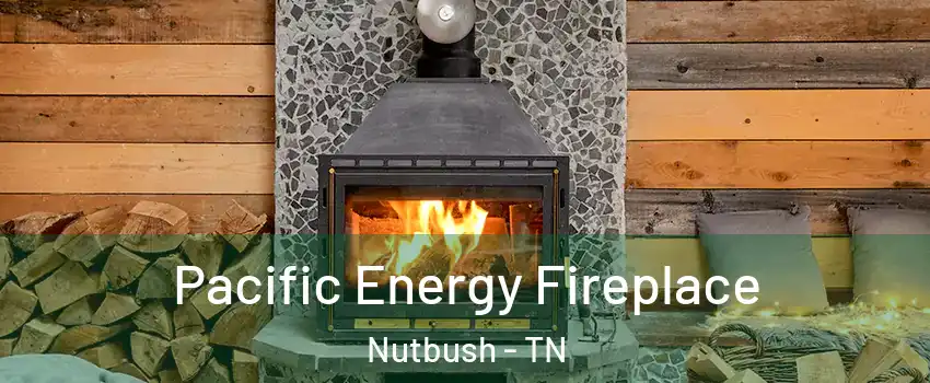 Pacific Energy Fireplace Nutbush - TN