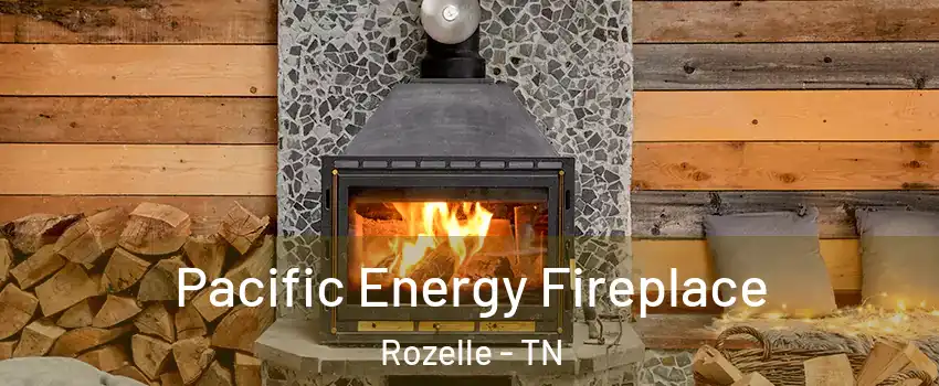 Pacific Energy Fireplace Rozelle - TN