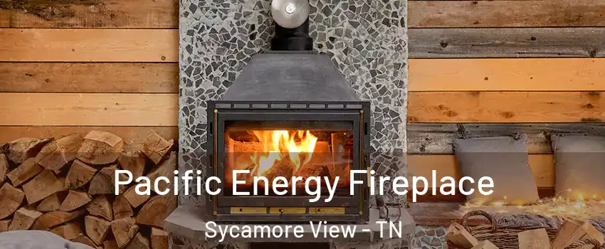 Pacific Energy Fireplace Sycamore View - TN