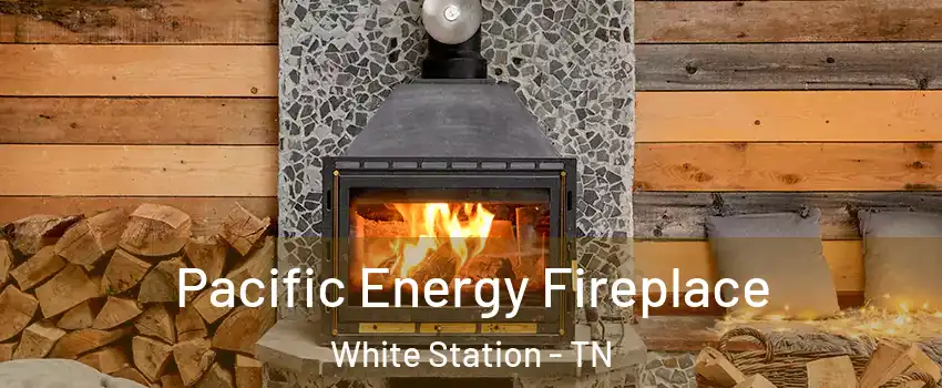 Pacific Energy Fireplace White Station - TN