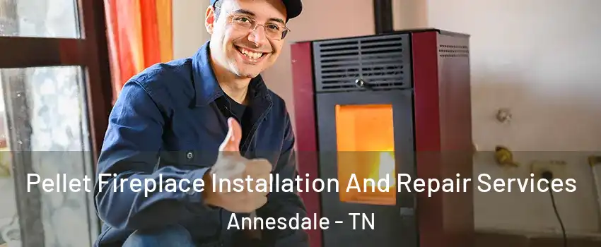 Pellet Fireplace Installation And Repair Services Annesdale - TN